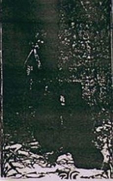 Under a Dying Sun...